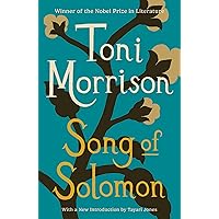 Amazon.com: Playing in the Dark : Whiteness and the Literary